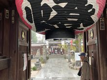 We waited for this gentleman to move, but I guess he was happy to get in out of the rain!