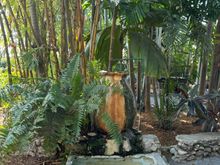 Fountain at the Hemingway House - the jar is a giant olive jar; The basin is a urinal from the original Sloppy Joe's building