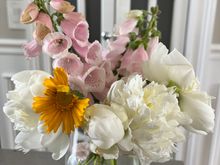 Last of peonies plus foxglove and lone coreopsis 