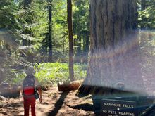 Hiking to Marymere falls