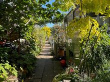 Back on the towpath - at this point, very narrow and running right along the barges