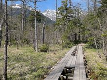 The walks at Kamikochi are relatively flat, with a lot of boardwalks over wet areas.
