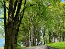 Park at the end of the Bergen peninsula 