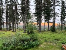 Evening view from our Airbnb... golden sunlight bathing the mountains. Apparently the sun finally came out at 9:50pm 😅
