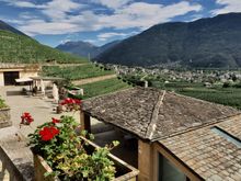 
La Gatta vineyard
Find out fascinating facts about wine-growing on a guided tour and enjoy lunch accompanied by wine in the ancient Dominican monastery.
