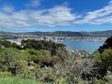 Up near the Mount Victoria Lookout and view over central Wellington