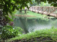 
Scene from the forest section