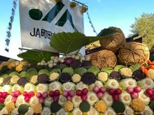 Meiji Jingu Shrine holds an annual Harvest Festival called Niiname-sai on November 23rd and these offers of newly harvested vegetables and grains are gifts to the gods to give thanks for the year's harvest.