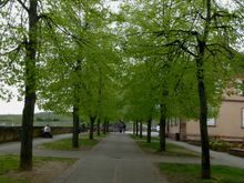 Outside of town