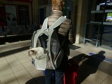 I slent a few minutes waiting at the train station, and thus woman and her travelling cat intrigued me!
