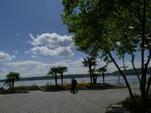It took me right to the lake.