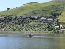 The Douro near Folgosa, Portugal