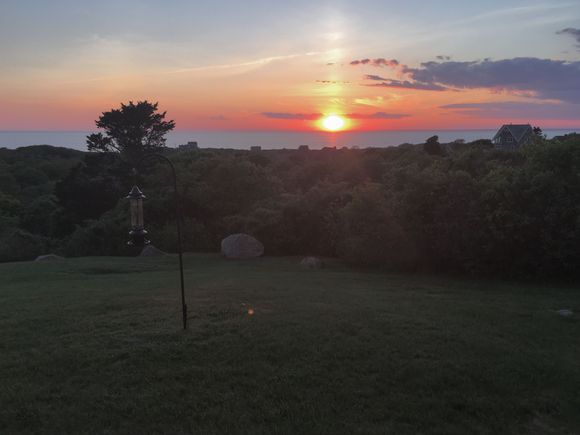 Sunset with my birdfriends. Mr. Gruezi got them a new feeder. (My iPhone isn’t great with evening photos.) but... it’s been a gorgeous weekend. Milk and honey... 