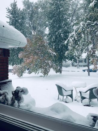 Still snowing. I’m surprised we still have power. 