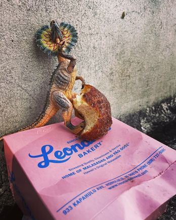 My traveling companion, “Mr. Aloha”, sampling Leonard’s excellent baked goods.🤣