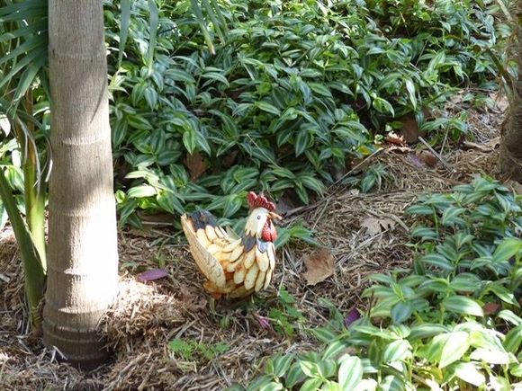 Fun for kids, finding wild animals, 😆 