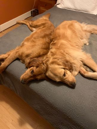 Monster Molly and Silly Lily 