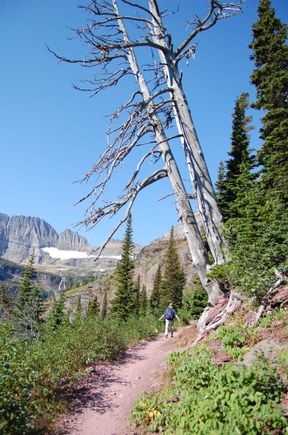 The Grinnell Glacier Trail in Glacier National Park 