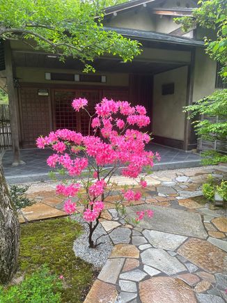 My Japanese Gardens.  Lots of azaleas blooming, , but I like this guy at the entrance to the Guest House. Theses gardens are my peace, leave troubles behind, place. 