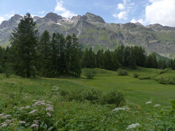 This is why we return