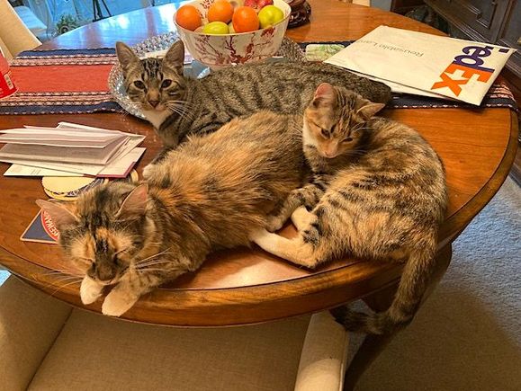 And don't even try to work on the bills 