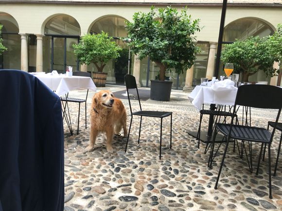 Breakfast in the courtyard.