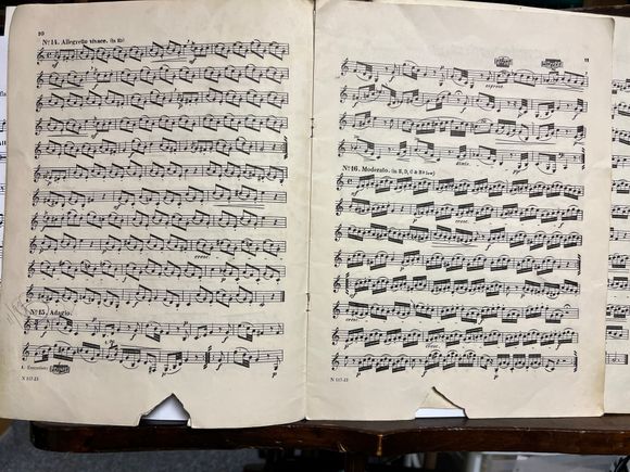  it quite as old as your notebook Michael, but this is my first serious Horn studies book from 1954. I was 13. I saved it because my teacher then was Ranier DeIntinis who was with the NY Philharmonic and I cherish the memory of studying with him and there are faint markings he made in some of the studies. 