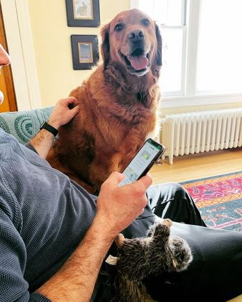 Nathan and Bad Mol working on today’s Wordle 