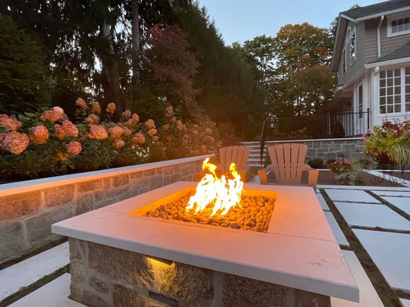 Our hydrangeas are gorgeous just now. 