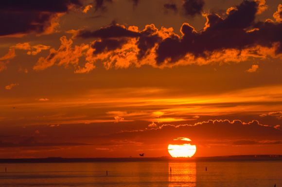 St Pete sunset