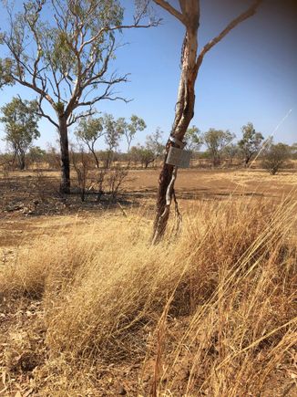 Ha ha ha our sign is still there. 