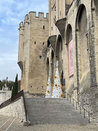 Imposing walls and main entrance of the Palais des Paper (decorated for Christmas)