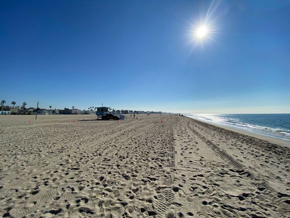 Pamela Anderson where are you?