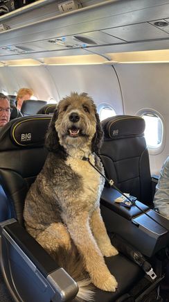 He loves to fly. 