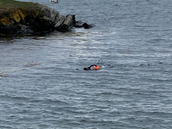 Some brave snorkelers. I also saw a polar bear club of older women. 