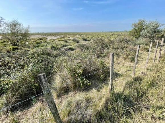 Uncultivated land.  It was nice how balanced the wild and the agricultural areas were, and how they both fit into one unified landscape