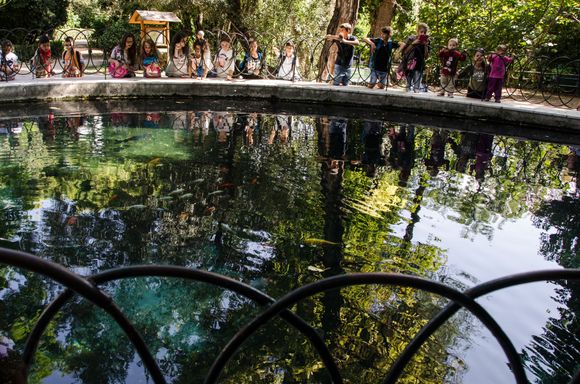 Tweeners peer into pond at National Garden in Syntagma district.