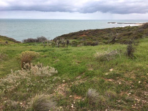 Cold, but pretty, down our street. 