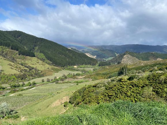 The drive started out dry and got more scenic as we climbed