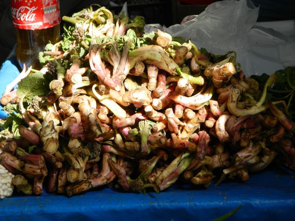 a more common wild edible