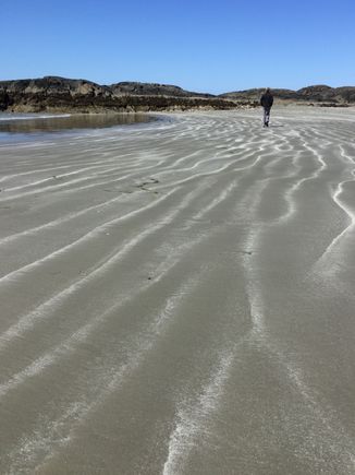 Vancouver Island where beaches stretch forever 