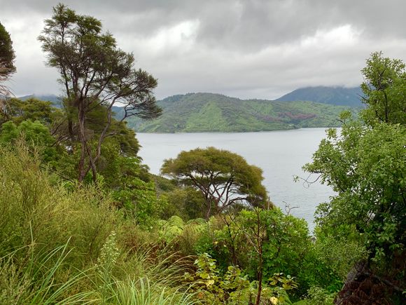 Some nice views notwithstanding the light rain.