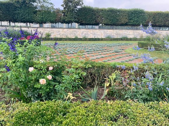 A walk through Jardin des Tuileries