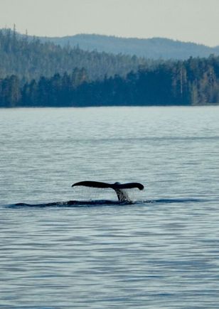 Alaska 2018
