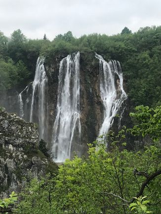 You see this within minutes through Entrance 1.