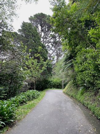 Wellington Botanic Garden