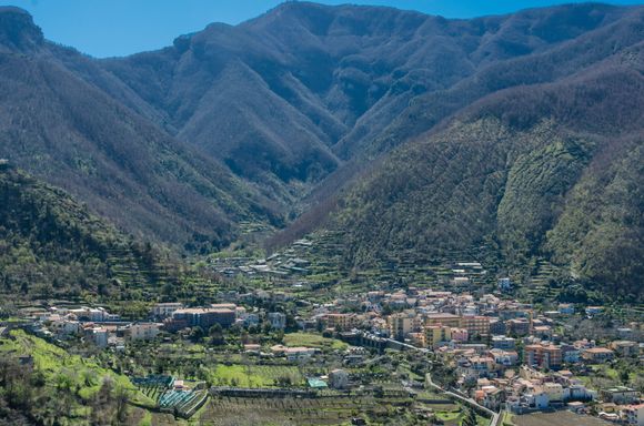 Plenty of grape vines there too.