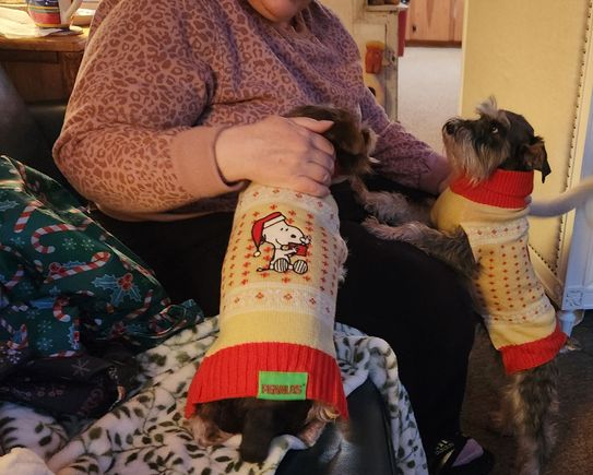 New Christmas sweaters