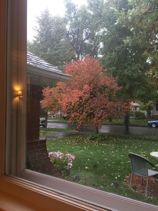 Trying to catch the snow; big flakes but they’re not showing up.