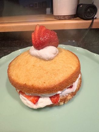 Tdudette-  Here is a picture of the sample cake.  I need to make sure the whipped cream is a bit stiffer and dust the cake with powdered sugar.  